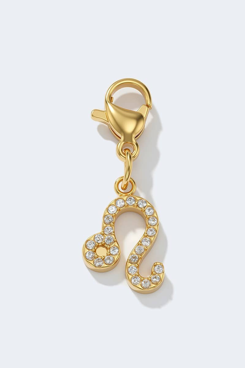 Charm signe du zodiaque scintillant en acier inoxydable