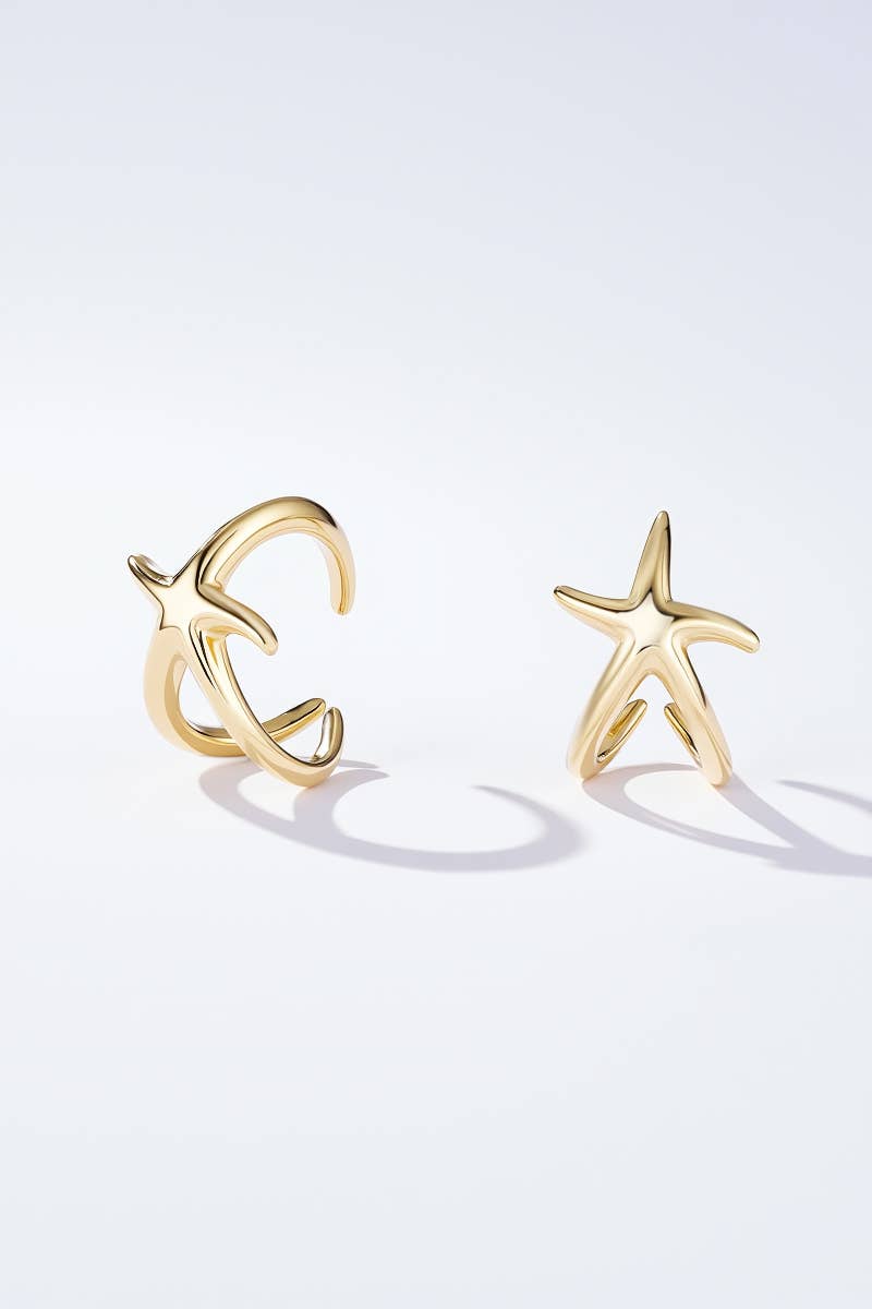 Earcuffs en acier inoxydable ROMANE