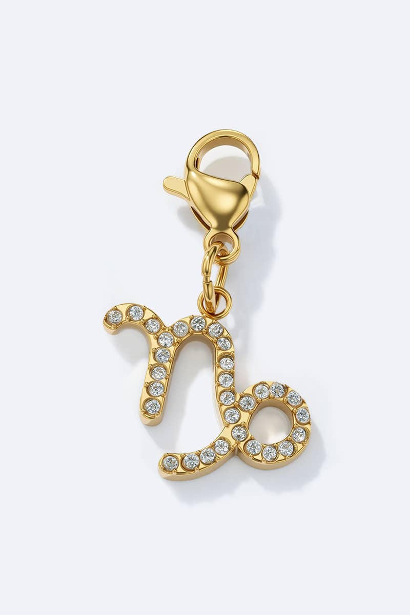 Charm signe du zodiaque scintillant en acier inoxydable