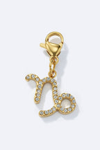 Charm signe du zodiaque scintillant en acier inoxydable
