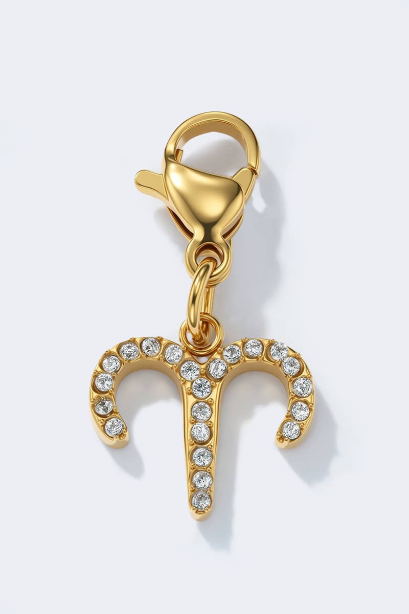 Charm signe du zodiaque scintillant en acier inoxydable