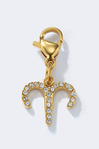 Charm signe du zodiaque scintillant en acier inoxydable